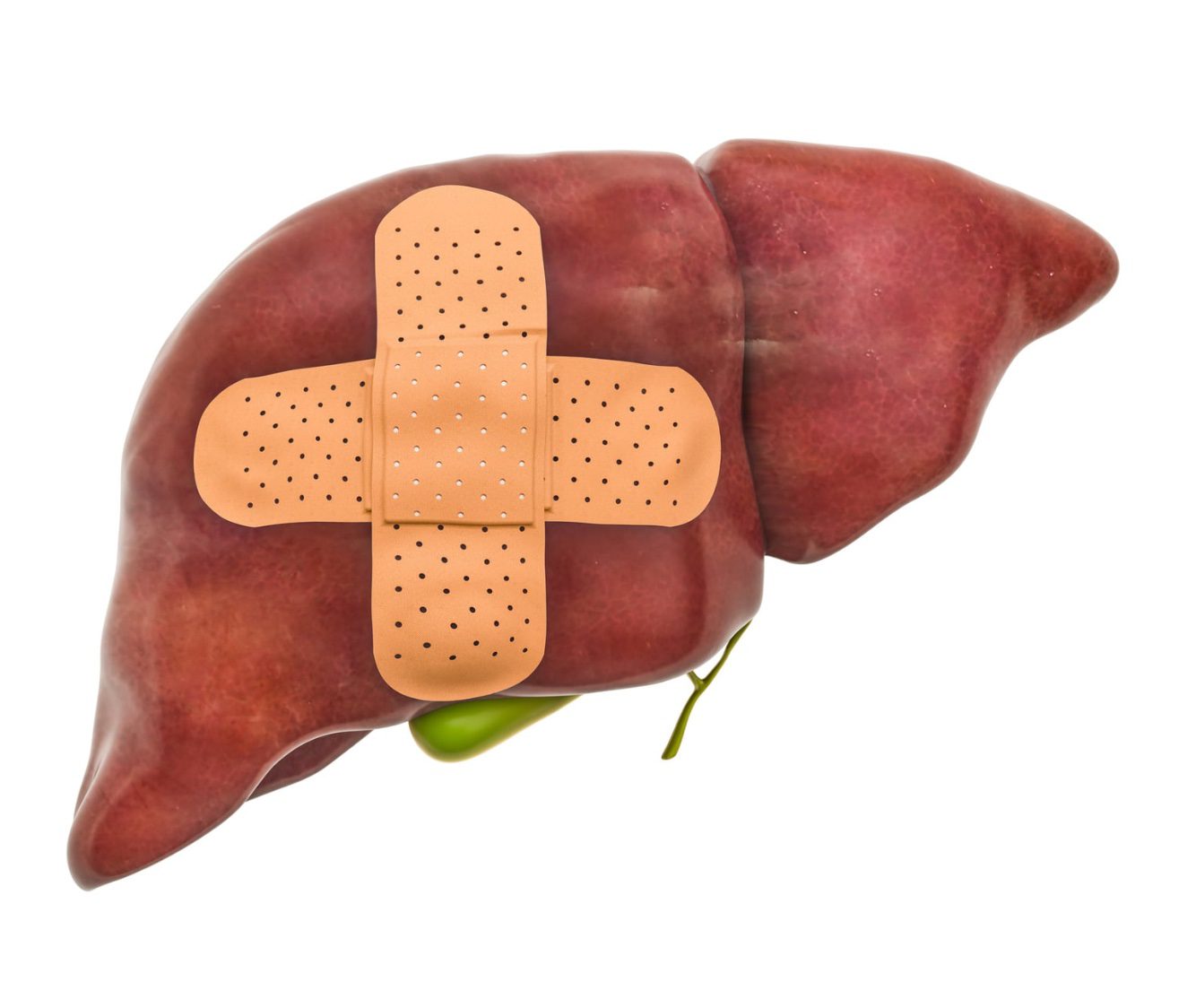 tasa de supervivencia del cancer de higado