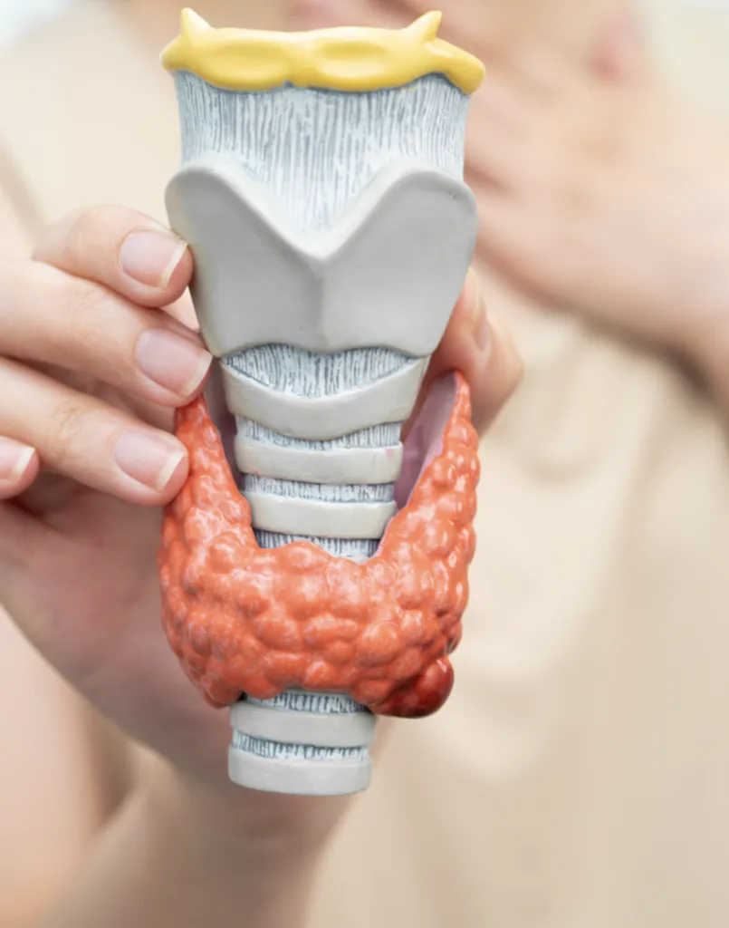 pacientes nodulos tiroideos